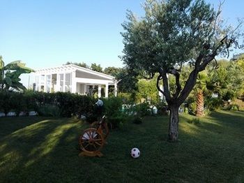 Outdoor Pictures 13