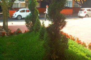 Outdoor Pictures 21