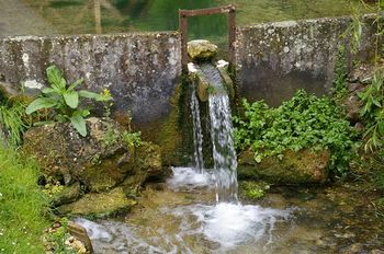 Outdoor Pictures 19