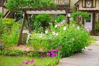 Outdoor Pictures 22