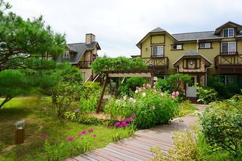 Outdoor Pictures 24