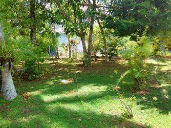 Outdoor Pictures 15