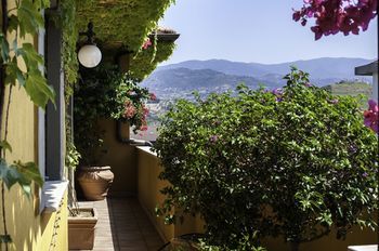 Outdoor Pictures 20