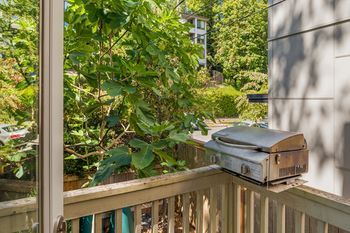 Outdoor Pictures 23