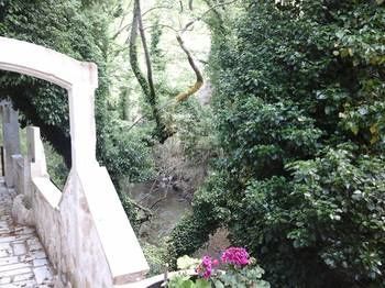 River Paradise