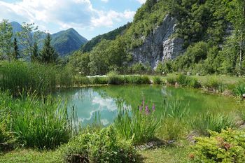 Outdoor Pictures 20