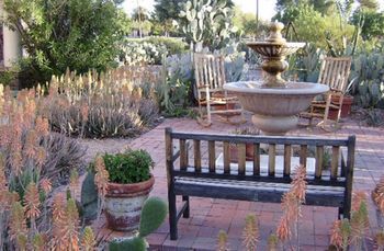 Outdoor Pictures 21