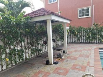 Outdoor Pictures 8