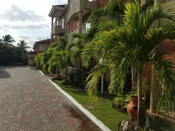 Outdoor Pictures 7