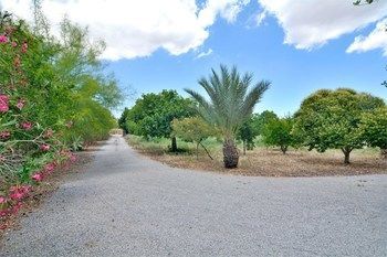 Outdoor Pictures 21
