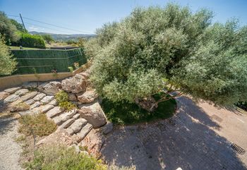 B&B Tramentu