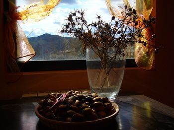 Outdoor Pictures 15