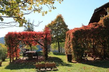 Outdoor Pictures 19