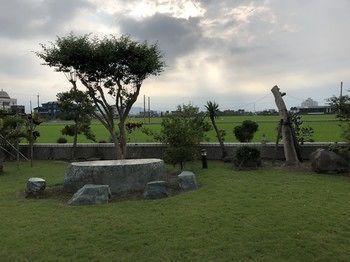 Outdoor Pictures 3