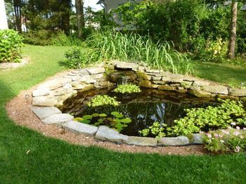 Outdoor Pictures 22