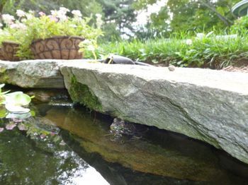 Outdoor Pictures 23