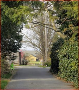 Outdoor Pictures 7