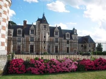 Mansion With 5 Bedrooms in Vernou-sur-brenne, With Pool Access, Enclos