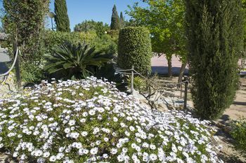 Outdoor Pictures 24