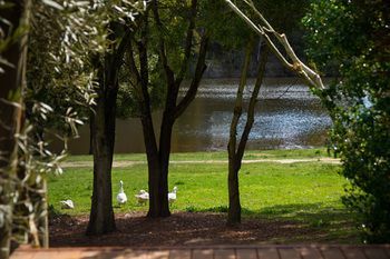 Outdoor Pictures 12