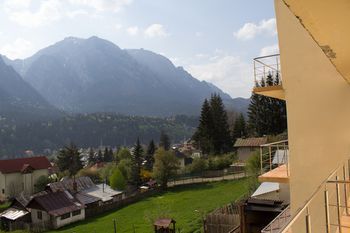 Outdoor Pictures 9