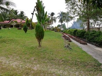 Outdoor Pictures 10
