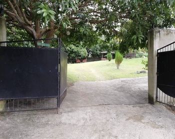 Outdoor Pictures 3