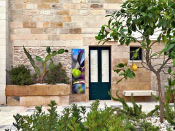 Outdoor Pictures 21