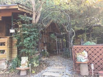 Outdoor Pictures 7