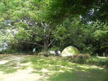 Outdoor Pictures 11