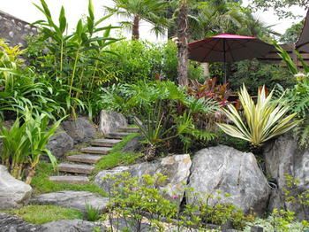 Outdoor Pictures 9