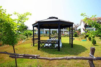Outdoor Pictures 9