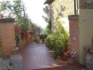 Outdoor Pictures 18