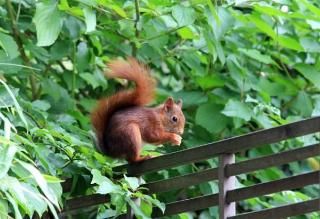 Outdoor Pictures 24