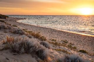 Outdoor Pictures 22