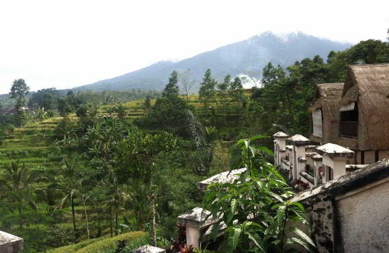 Soka Jatiluwih Villas