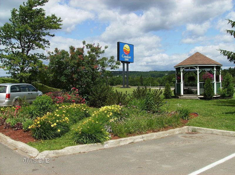 Outdoor Pictures 23