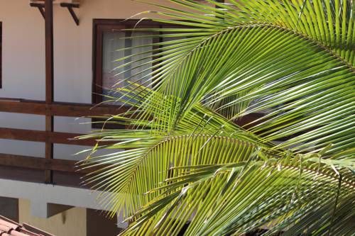 Outdoor Pictures 15