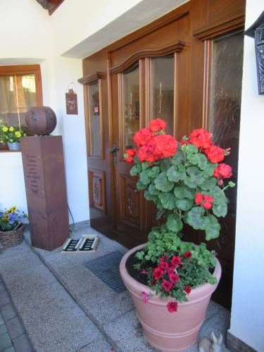 Outdoor Pictures 21