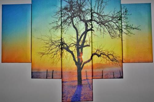 Outdoor Pictures 20