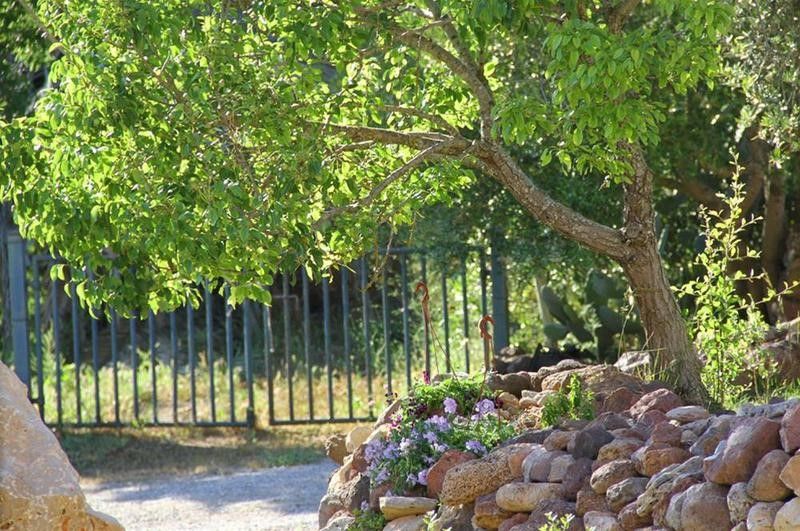 Outdoor Pictures 19