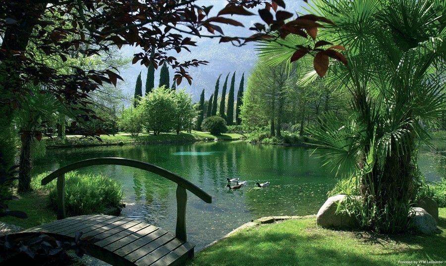 Outdoor Pictures 20