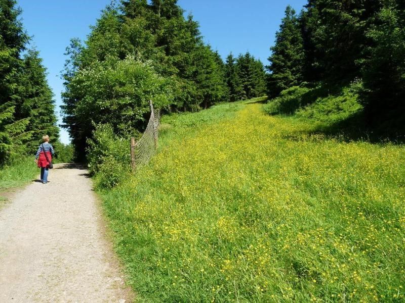 Outdoor Pictures 22