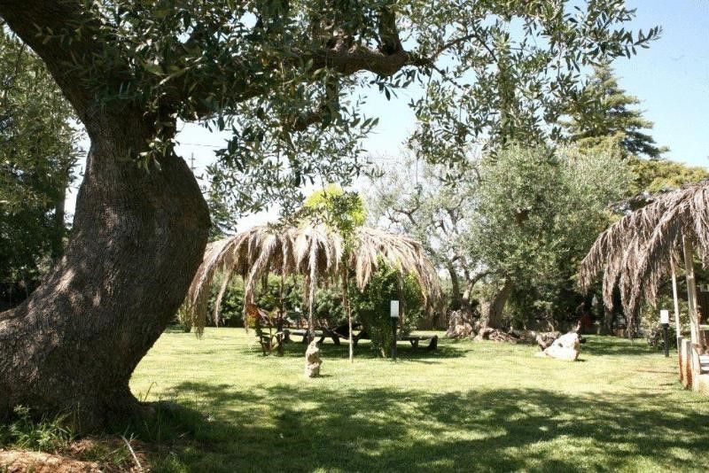 Outdoor Pictures 16