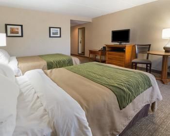 Comfort Inn Carrier Circle