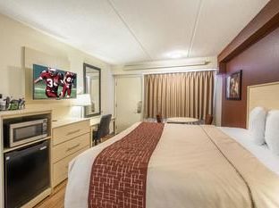Hotel Image 5