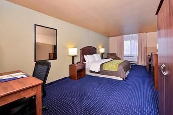 Comfort Inn Albert Lea
