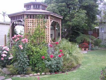 Outdoor Pictures 24