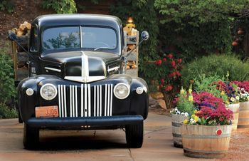 Outdoor Pictures 22