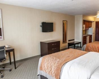 Comfort Inn & Suites Muncie